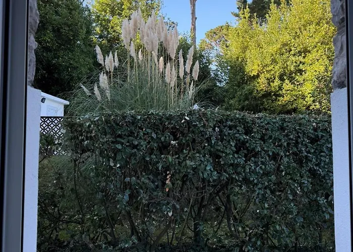 Chateau D'acotz - Avec Piscine A 300m Des Plages & Ocean